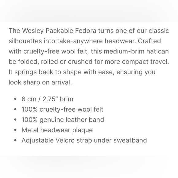 Brixton Wesley packable fedora - Picture 9 of 10